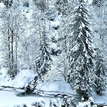 Schoenbacher Hof 펜션 *