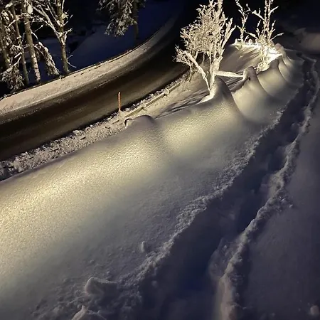 펜션 Schoenbacher Hof 호프가르텐 임 브릭젠탈