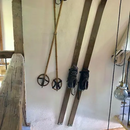 Schoenbacher Hof * 호프가르텐 임 브릭젠탈