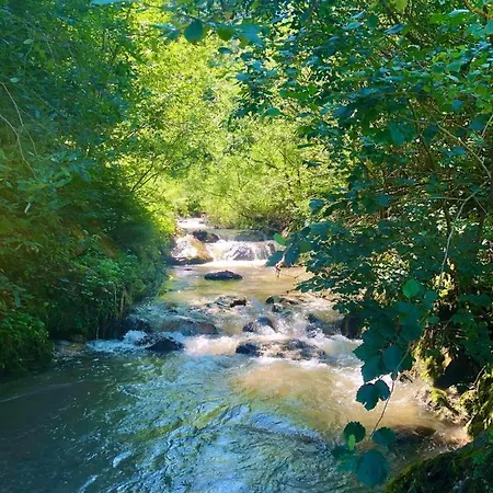 Schoenbacher Hof 펜션 호프가르텐 임 브릭젠탈