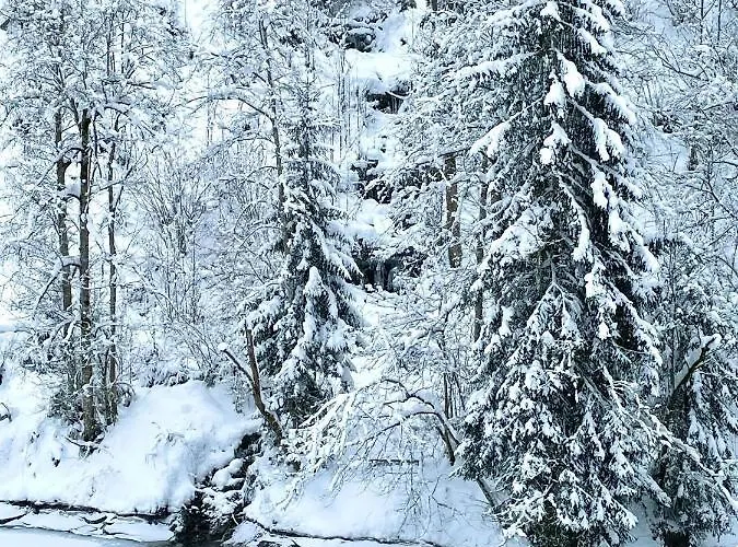Schoenbacher Hof Nyaraló *